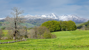 Achat D'or Mont-de-Marsan